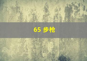 65 步枪